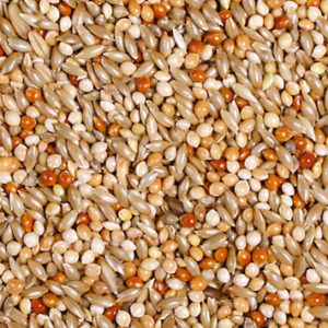 JR Birds Wellensitt Schmaus 1kg