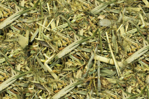 JR Kräutergarten 100g