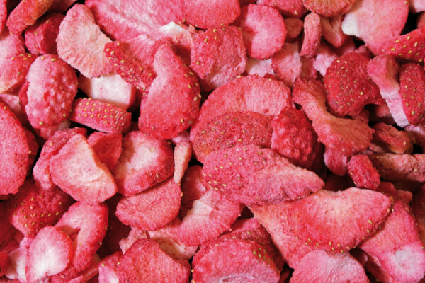 JR Pure Erdbeeren 20g