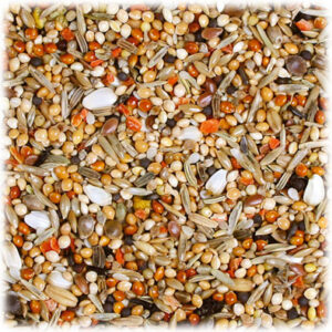JR Birds Individ S+LPapagei1kg