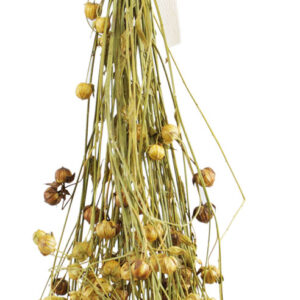 JR Birds Flachs 30g